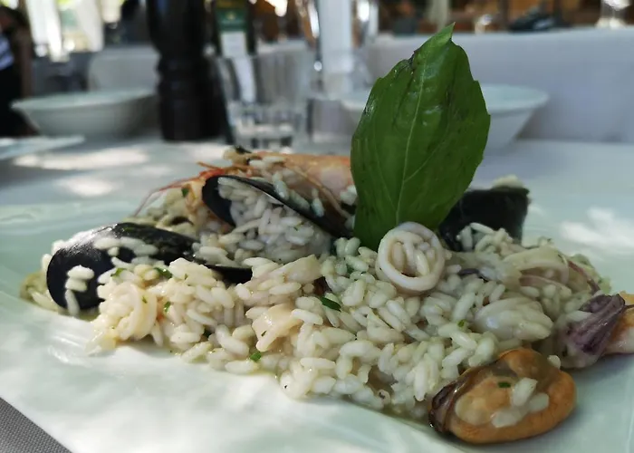 La Puraza Comfort 4* Rimini