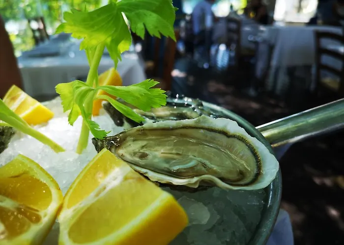 Konukevi La Puraza Comfort 4*