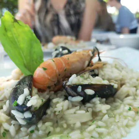 La Puraza Comfort Rimini