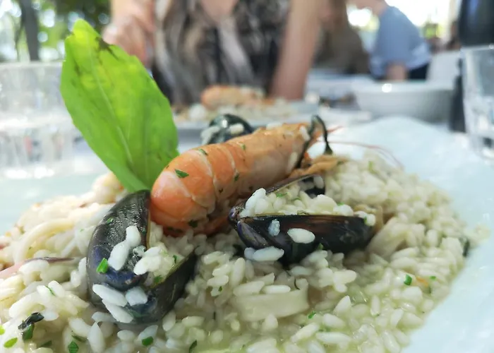 La Puraza Comfort Rimini