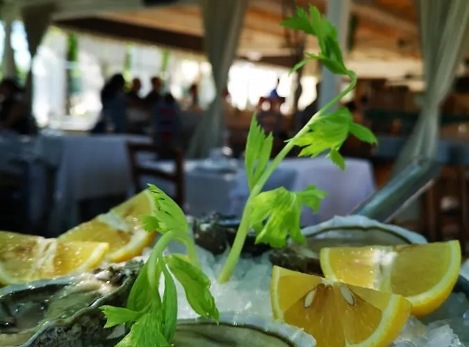 La Puraza Comfort Maison d'hôtes Rimini